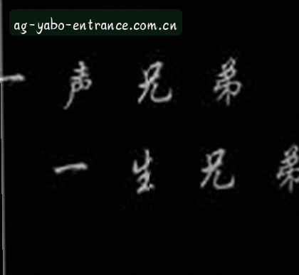 郑姐